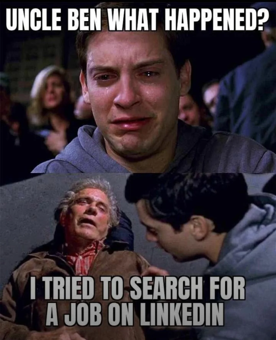 Ảnh bìa hồ sơ gia sư Tiên Phong trên LinkedIn