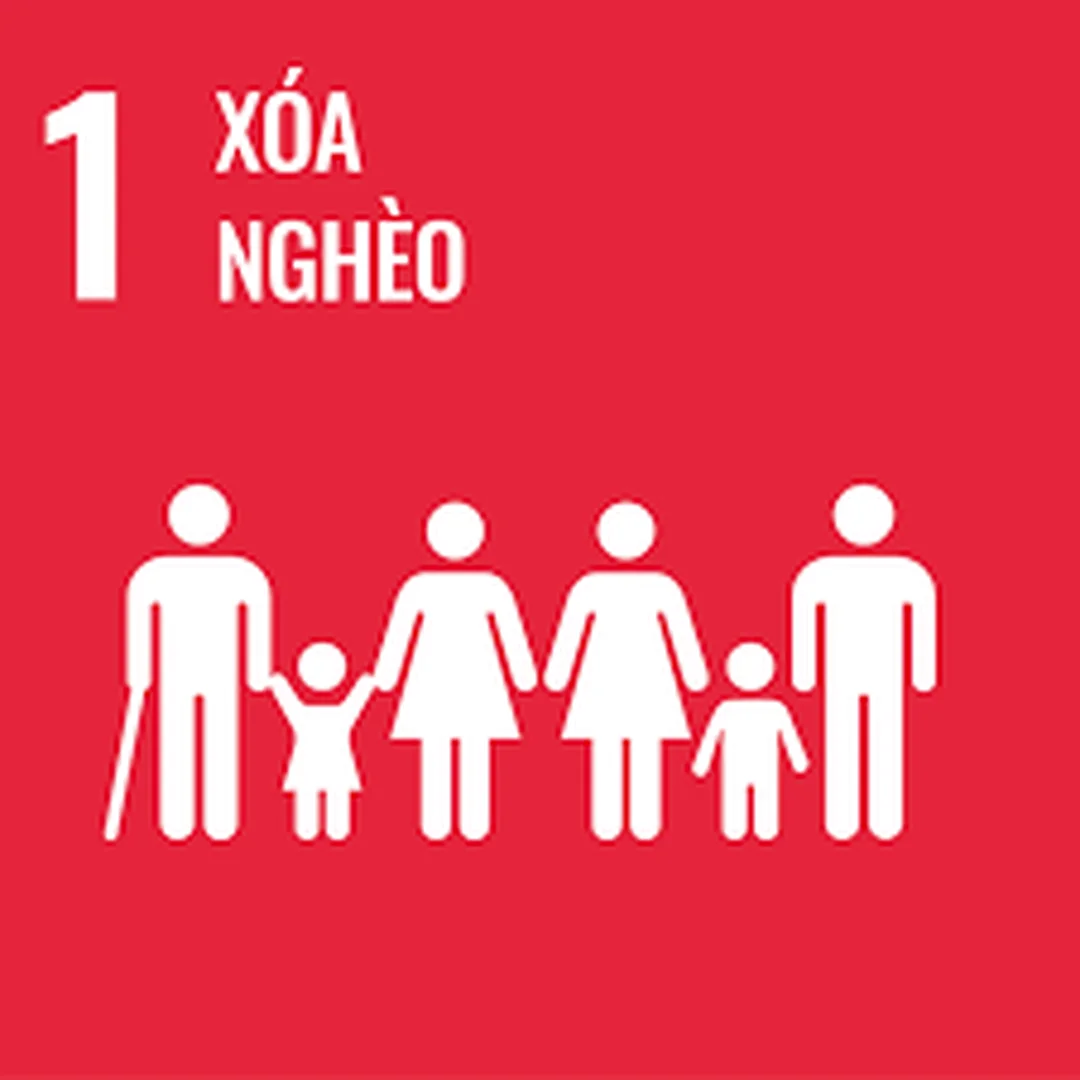 Hình ảnh hoạt động giáo dục và phát triển cộng đồng