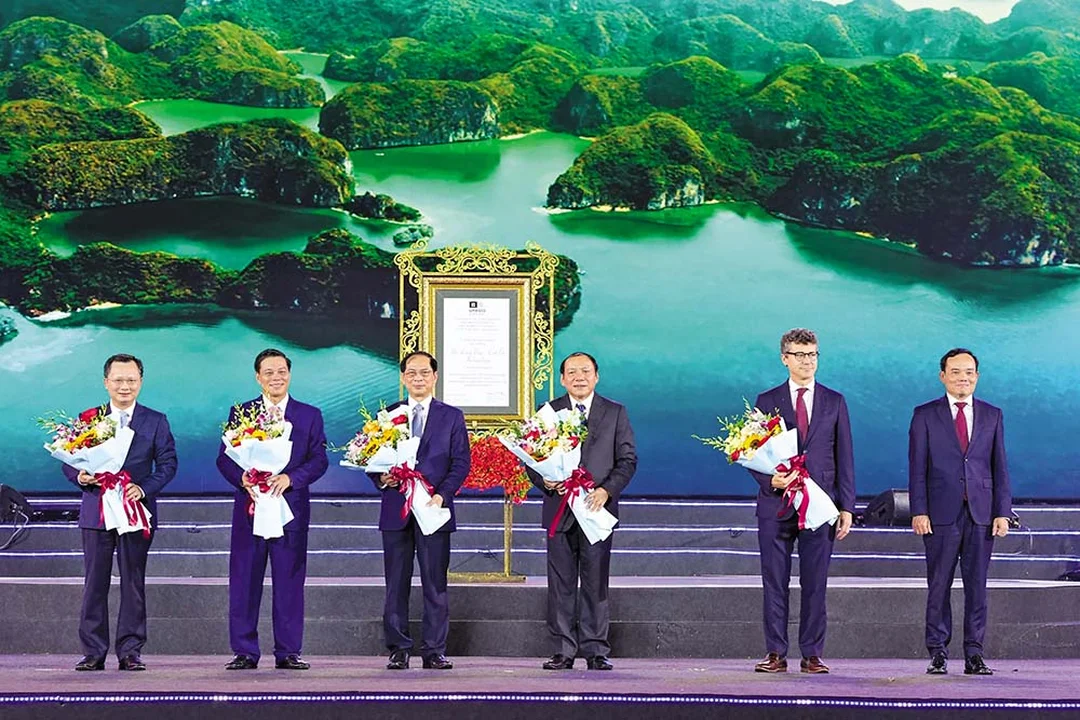 gia sư hạ long - hình minh họa 1 gia sư hạ long - hình minh họa 1