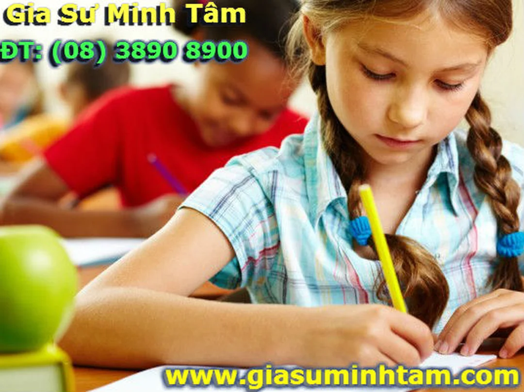 gia sư lớp 3 kèm học sinh tiểu học theo lộ trình tại nhà