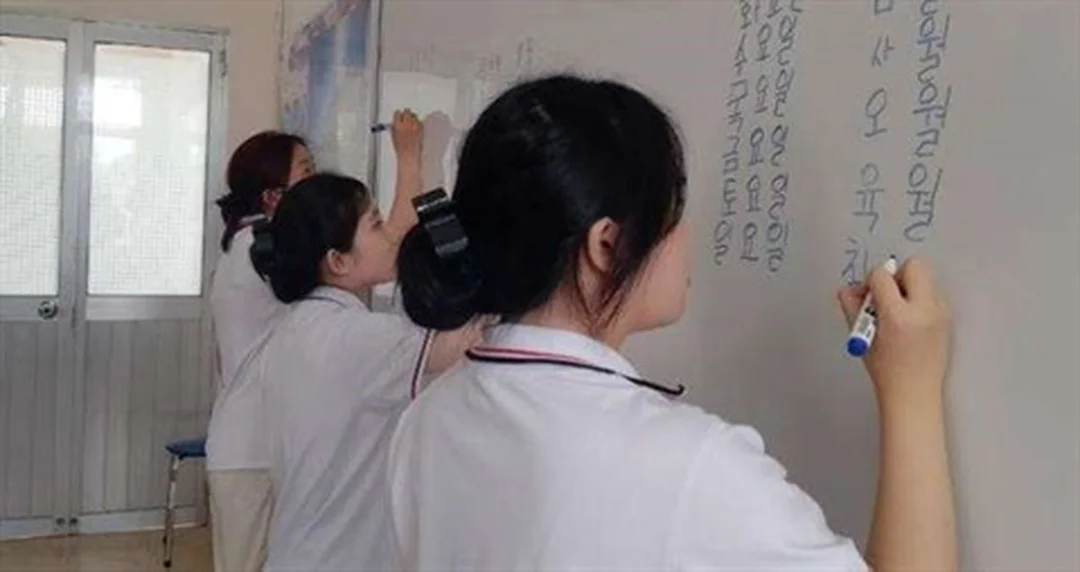 gia sư tiếng hàn kèm học viên theo mục tiêu giao tiếp và TOPIK