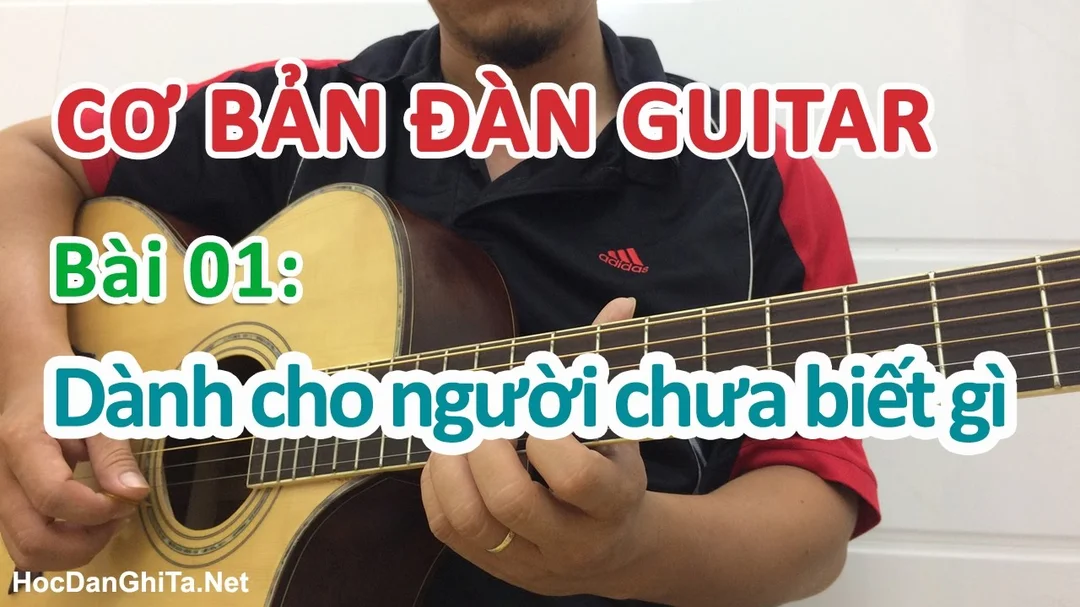 Hướng dẫn tự học guitar cơ bản cho người mới bắt đầu