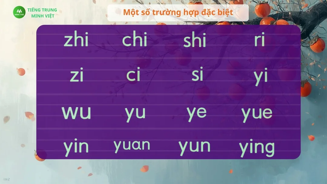 Video luyện phát âm tiếng Trung Pinyin cho người mới bắt đầu